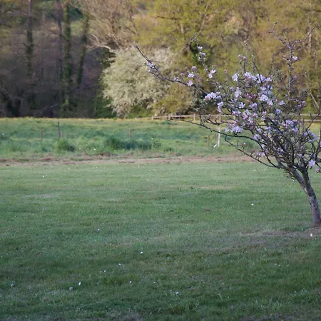 Gite Le Champ Libre Dompierre-Sur-Yon Buitenkant foto